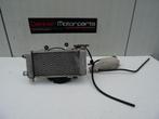 Rechter Radiateur + Koelvin Honda VTR1000F Firestorm 1997 >, Motoren, Ophalen of Verzenden, Gebruikt