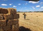 Kleine balen stro, Zakelijke goederen, Landbouw | Veevoer, Ophalen of Verzenden