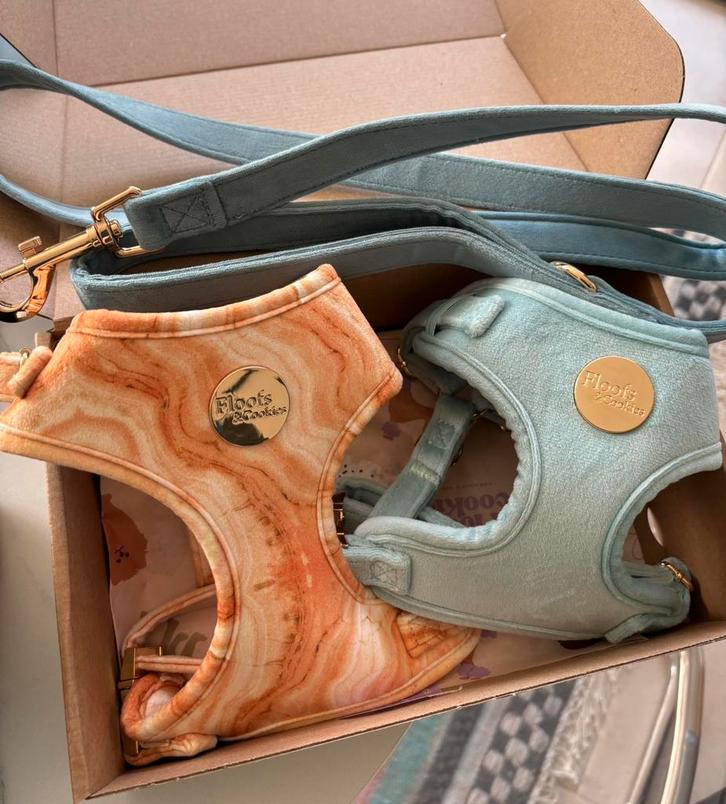 Honden harnas & leiband, Dieren en Toebehoren, Hondenriemen, Nieuw, Hondenriem, Ophalen