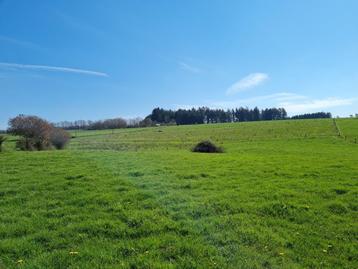 MIERCHAMPS (La Roche): Bouwgrond met prachtig uitzicht. beschikbaar voor biedingen