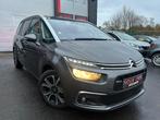 Citroën C4 Picasso 1.6hdi**2019**Euro 6, Cuir, Achat, Euro 6, Entreprise