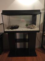 Aquarium Juwel 80 liter zie prijs omschrijving!, Dieren en Toebehoren, Ophalen