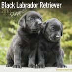 Calendrier des chiots du Labrador noir 2018, Envoi, Calendrier annuel, Neuf