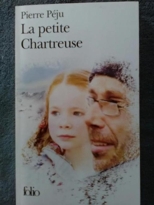 „De kleine Chartreuse” Pierre Péju (2002), Boeken, Romans, Zo goed als nieuw, Europa overig, Ophalen of Verzenden