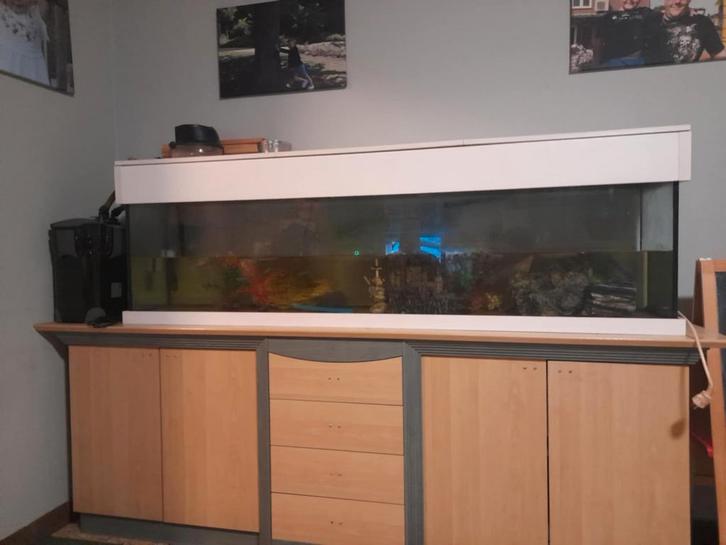 Grote aquarium, Dieren en Toebehoren, Vissen | Aquaria en Toebehoren, Gebruikt, Ophalen