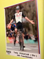 wielerkaart 2023   team uae  tadej pogacar, Verzenden, Zo goed als nieuw