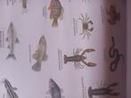 Posters en tijdschriften natuur, Boeken, Tijdschriften en Kranten, Ophalen, Zo goed als nieuw, Wetenschap en Natuur