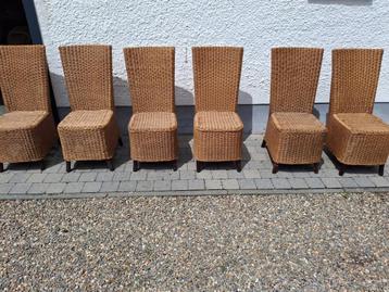 Rieten stoelen  beschikbaar voor biedingen