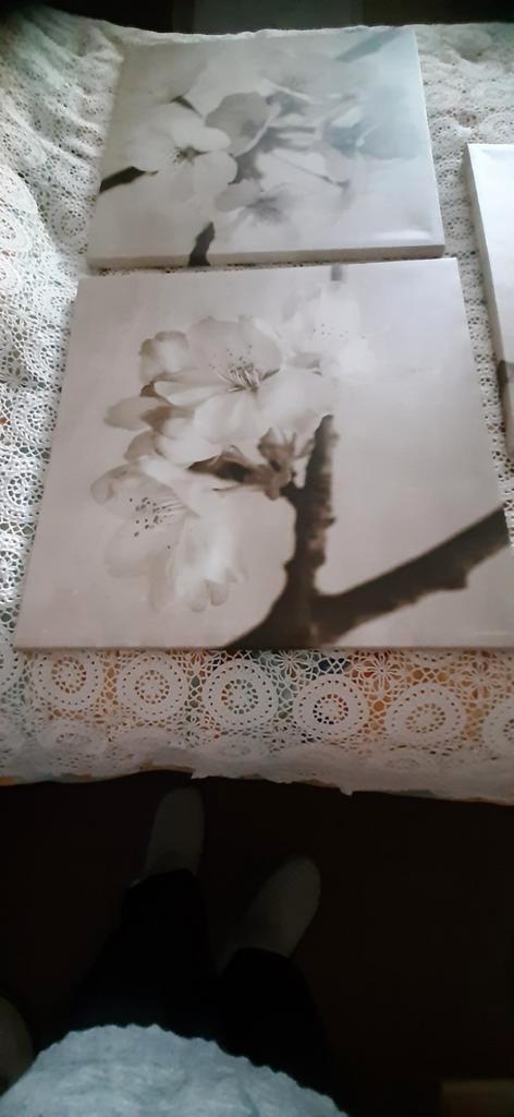 canvas 3 Luik orchidee, Huis en Inrichting, Woonaccessoires | Schilderijen, Tekeningen en Foto's, Zo goed als nieuw, Ophalen of Verzenden