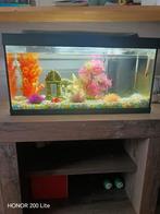 Tetra Aquarium Starter Line LED 54I, Dieren en Toebehoren, Ophalen