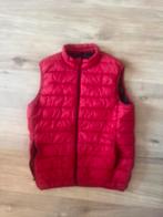 veste sans manche, Kleding | Heren, Jassen | Zomer, Zara, Maat 56/58 (XL), Ophalen of Verzenden, Zo goed als nieuw