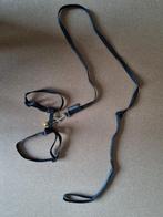 Tuigje en leiband voor cavia, Dieren en Toebehoren, Januari, Cavia