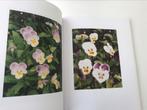 Daan Van Golden Peintures Photos 230 pages, Enlèvement ou Envoi, Comme neuf, Peinture et dessin