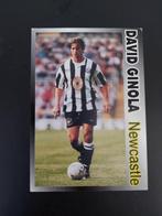 Voetbalkaart David Ginola Newcastle United, Comme neuf, Affiche, Image ou Autocollant, Enlèvement ou Envoi