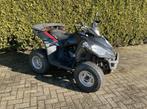 QUAD E-TON Vector ST 300, Motoren, 300 cc, 1 cilinder, 12 t/m 35 kW