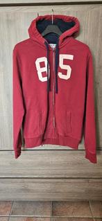 heren gilet met Rits tommy Hilfiger, Kleding | Heren, Ophalen, Maat 52/54 (L), Tommy hilfiger, Gedragen