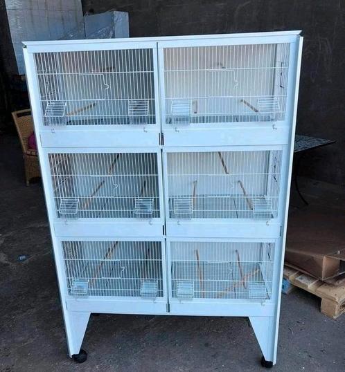 Voliere 31 Wit 100X40X60 cm - Op Bestelling, Dieren en Toebehoren, Vogels | Hokken en Kooien, Nieuw, Volière, Metaal, Ophalen of Verzenden