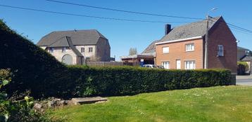 Gratis taxushaag, Enlèvement, Taxus, Haie, Moins de 100 cm