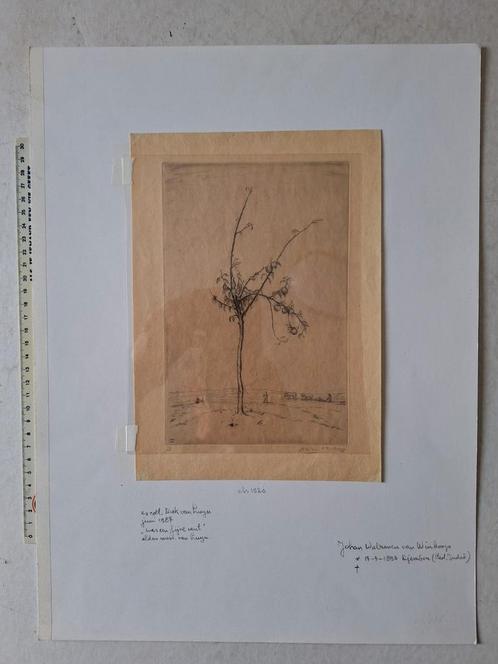 Gevoelige ets Johan Walraven van Winkoop "Eenzame fruitboom", Antiek en Kunst, Kunst | Etsen en Gravures, Ophalen of Verzenden