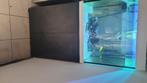 Aquarium Juwel, Dieren en Toebehoren, Ophalen, Zo goed als nieuw, Leeg aquarium