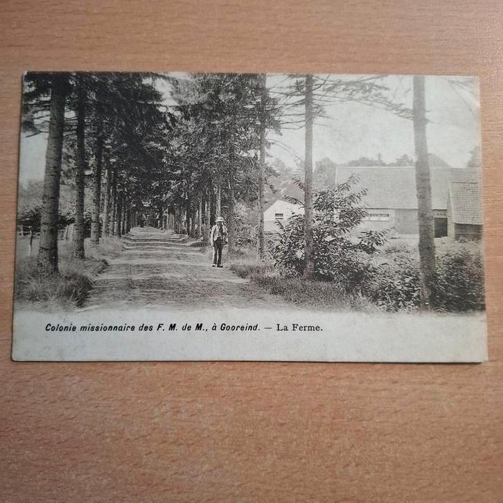 Gooreind, Verzamelen, Postkaarten | België, Ophalen of Verzenden