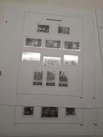 Davo luxe bladen België jaargang 2004, Postzegels en Munten, Postzegels | Toebehoren, Ophalen of Verzenden, Verzamelalbum