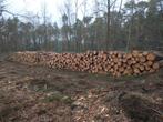 Halfdroog Brandhout Den op 40 cm, Tuin en Terras, Brandhout, 3 tot 6 m³, Ophalen of Verzenden, Overige houtsoorten, Blokken