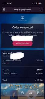 4 tickets zaterdag we1 Tomorrowland 2026, Tickets en Kaartjes, Evenementen en Festivals