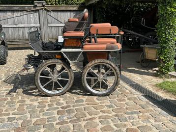 Pony koets beschikbaar voor biedingen