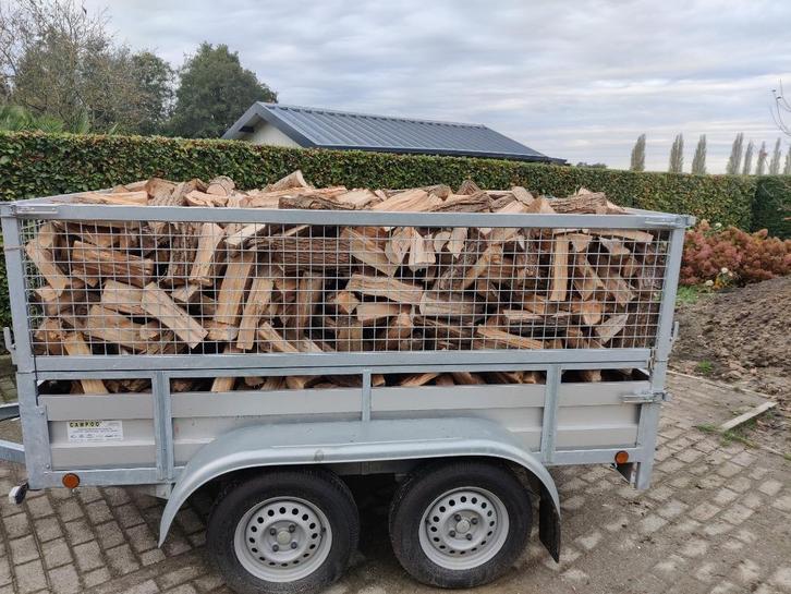 Ecologisch brandhout van knotwilgen, Tuin en Terras, Brandhout, Blokken, Overige houtsoorten, 3 tot 6 m³, Ophalen