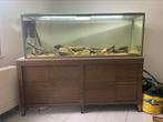 Aquarium 140cm, Utilisé, Enlèvement ou Envoi