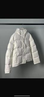 fendi luxejas maat small 2 kleuren!!, Kleding | Dames, Ophalen of Verzenden, Zo goed als nieuw