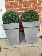 2 Hoge bloempotten H50cm - B31cm, kunststof, binnen & buiten, Kunststof, Gebruikt, Vierkant, Tuin
