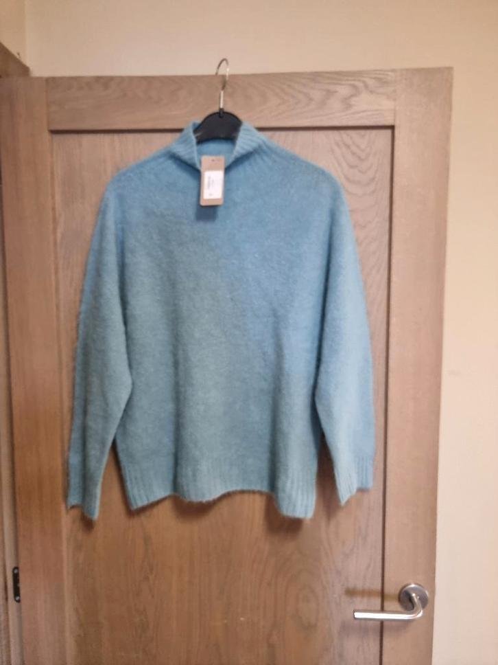 Trui black rose TU nieuw prijsdaling, Vêtements | Femmes, Pulls & Gilets, Neuf, Taille 42/44 (L), Bleu, Enlèvement ou Envoi