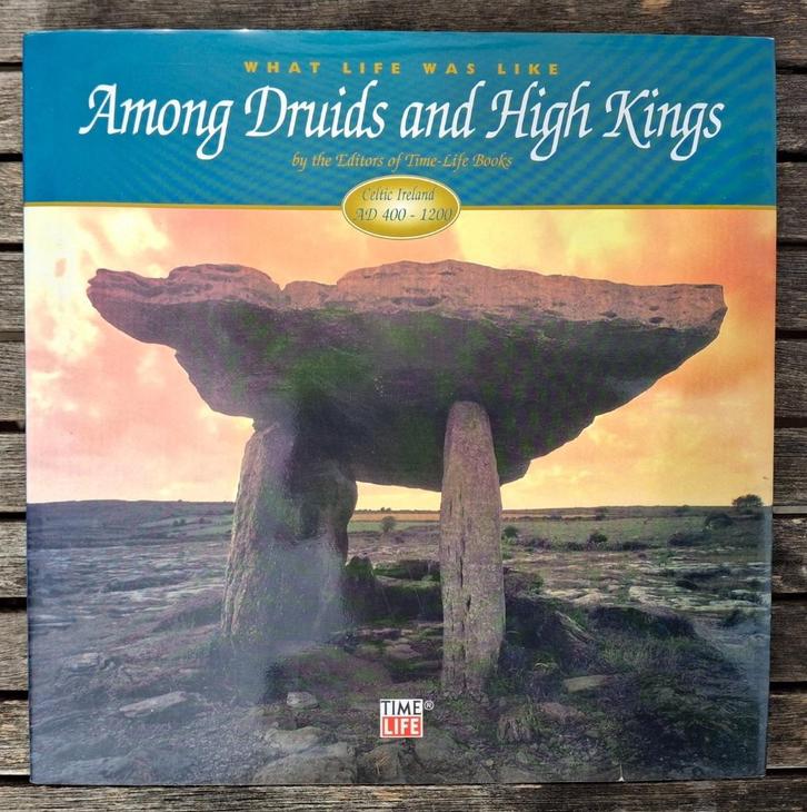 What life was like among druids and high kings: Celtic Irela, Boeken, Geschiedenis | Wereld, Ophalen of Verzenden