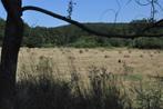 Paillage - foin petits ballots, Ophalen