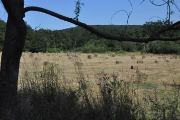 Paillage - foin petits ballots beschikbaar voor biedingen