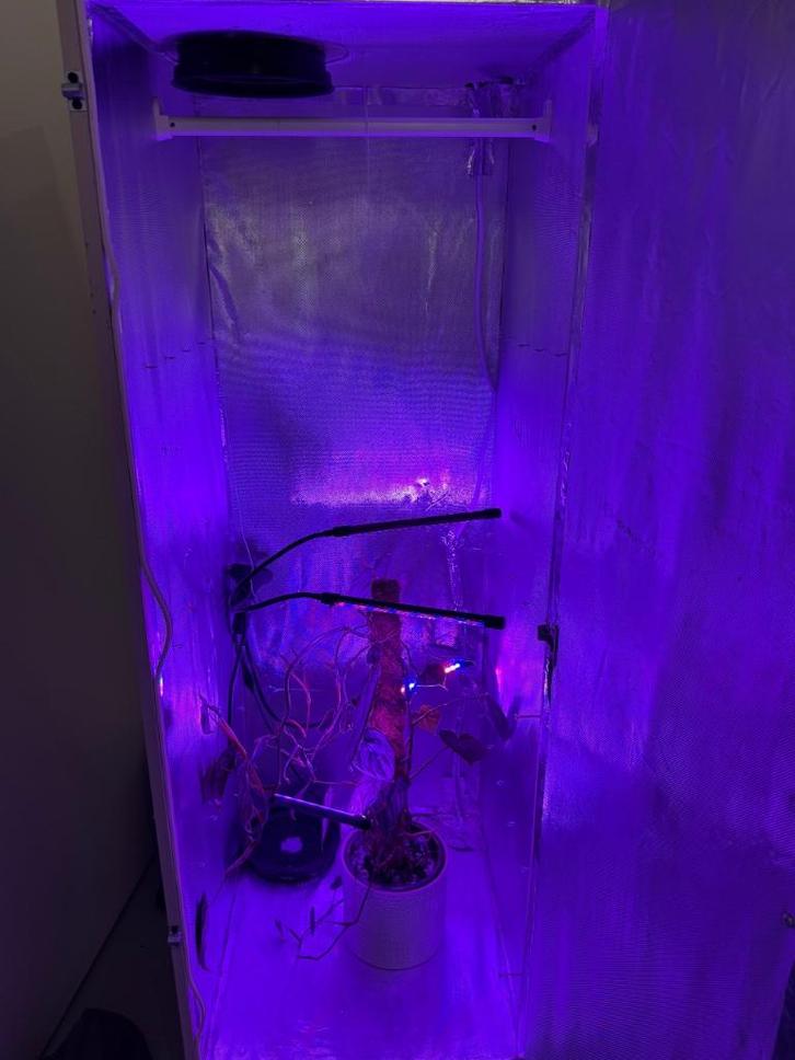 LED planten kweekkast, Tuin en Terras, Kweekspullen, Gebruikt, Kweekkast, Ophalen