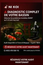 Audit bassin, Enlèvement