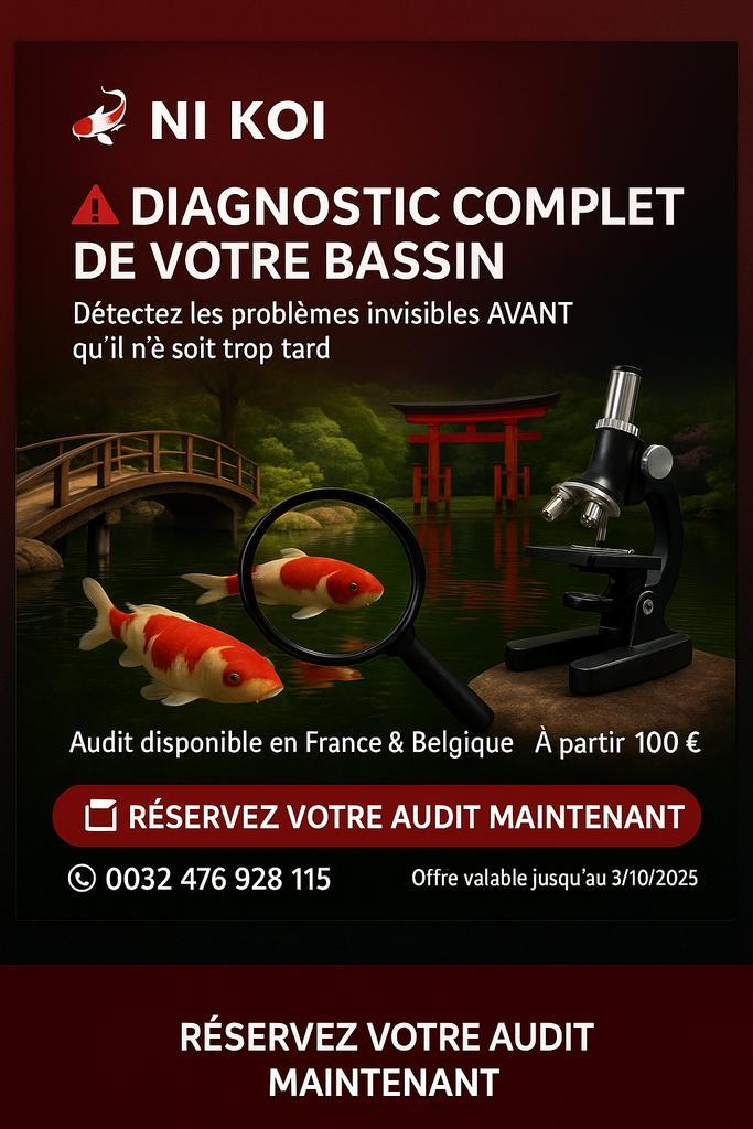 Audit bassin, Tuin en Terras, Vijvers, Ophalen