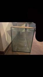 Groot hamster verblijf, Dieren en Toebehoren, Ophalen, Hamster