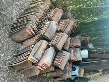 Boomse dakpannen beschikbaar voor biedingen