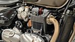 Triumph Bobber (BTW aftrekbaar), 2 cilinders, Chopper, Bedrijf, Meer dan 35 kW