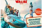 1 Walibi Belgium-inzending, geldig op 5 oktober 2025, Eén persoon