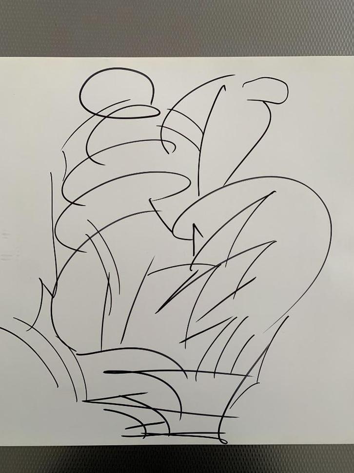 Jeanine Behaeghel - dubbelzijdige tekeningen - 15€ per stuk, Antiek en Kunst, Kunst | Tekeningen en Fotografie, Ophalen of Verzenden