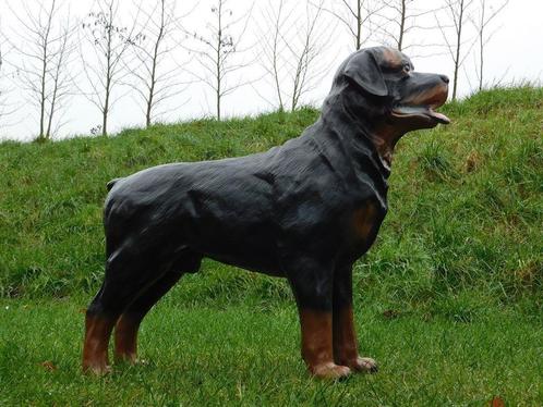 rottweiler , tuinbeeld, Tuin en Terras, Tuinbeelden, Nieuw, Ophalen of Verzenden