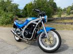 Suzuki GS 500E, Motoren, 2 cilinders, Particulier, Naked bike, 12 t/m 35 kW