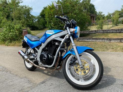 Suzuki GS 500E, Motoren, Motoren | Suzuki, Particulier, Naked bike, 12 t/m 35 kW, 2 cilinders, Ophalen