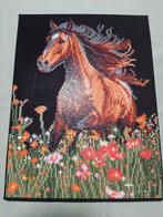 Te koop diamond painting op canvas, Hobby en Vrije tijd, Knutselen, Ophalen of Verzenden, Nieuw