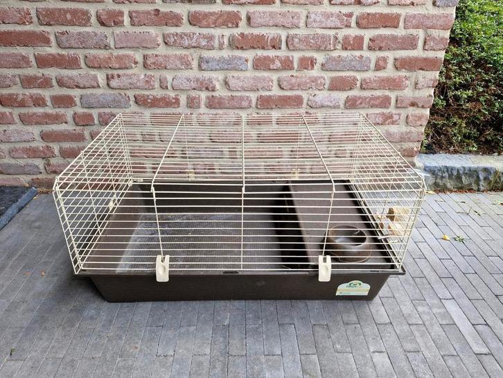 Angle intérieur brun 1 m, Animaux & Accessoires, Rongeurs & Lapins | Cages & Clapiers, Comme neuf, Cage, Moins de 60 cm, 75 à 110 cm